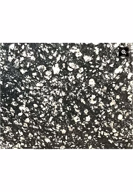Coin Black Granite
