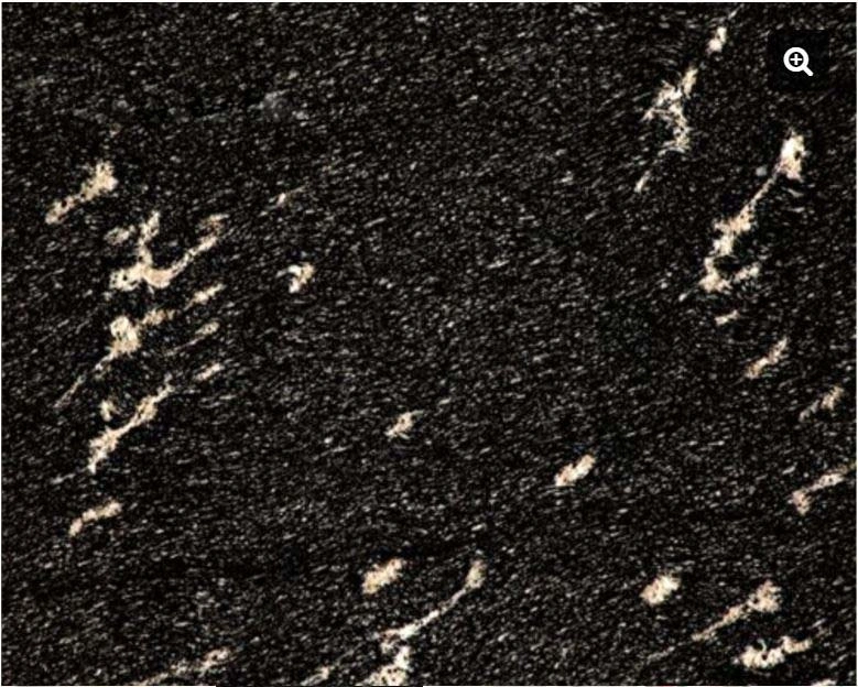 Fish Black Granite-1