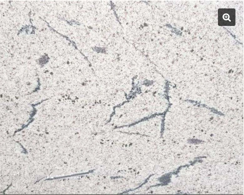 Fish White Granite-FWG