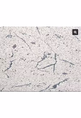 Fish White Granite