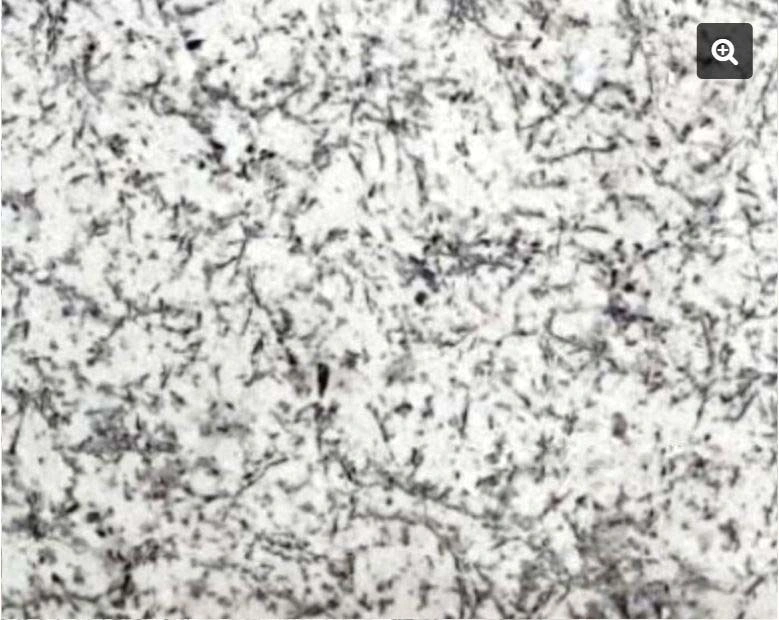 Nova White Granite-1