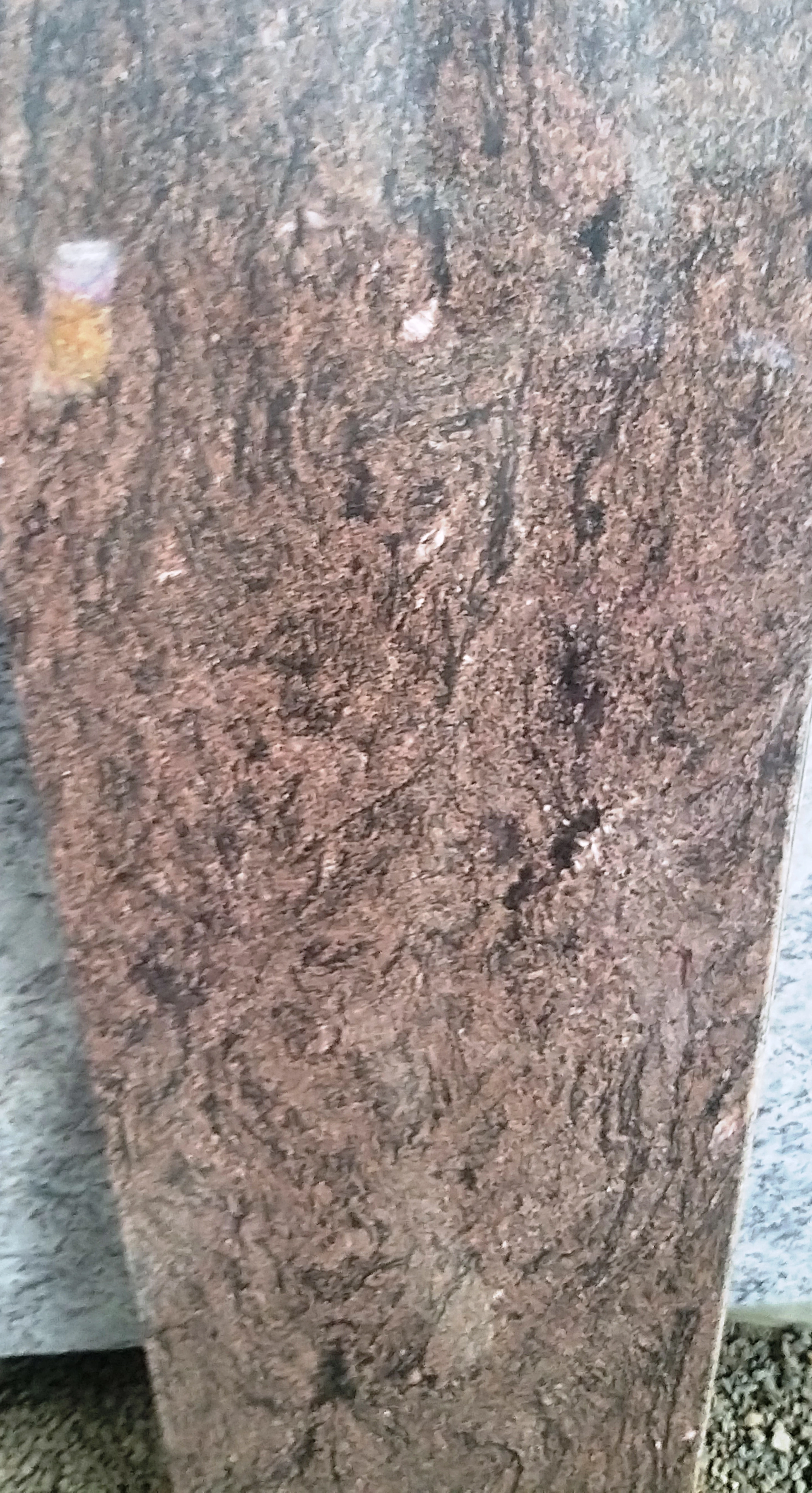 Sagvan Teak Exotic Granite-1