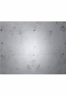 Bliss White Marble Tiles