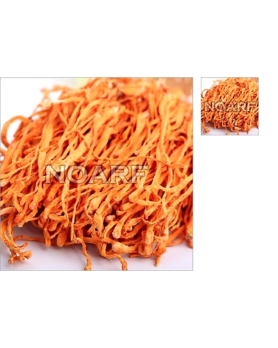 Cordyceps Militaris - Medicinal Mushroom - C. Militaris - Cordyceps supplements- Dried Mushroom - Cordyceps extract - Trusted Mushroom Exporter in India - ISO Certified Mushroom Products-11426108