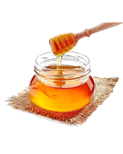 Honey - Wild Natural Honey - Raw Honey - Forest Honey - Honey comb - Multi floral Honey - Honey Products - Natural sweetener  - Organic Honey - Best Honey-11426110