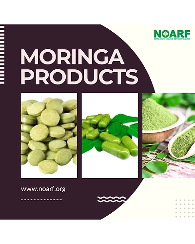 Moringa Powder - Moringa oleifera powder -  Moringa leaf powder - Moringa product - Superfood supplements-11414862