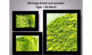 Moringa Powder