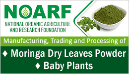 Moringa Powder - Moringa oleifera powder -  Moringa leaf powder - Moringa product - Superfood supplements-3