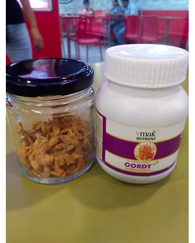 Cordyceps Militaris - Medicinal Mushroom - C. Militaris - Cordyceps supplements- Dried Mushroom - Cordyceps extract - Trusted Mushroom Exporter in India - ISO Certified Mushroom Products-2