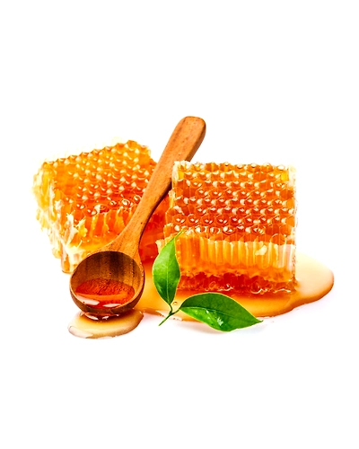 Honey - Wild Natural Honey - Raw Honey - Forest Honey - Honey comb - Multi floral Honey - Honey Products - Natural sweetener  - Organic Honey - Best Honey-1