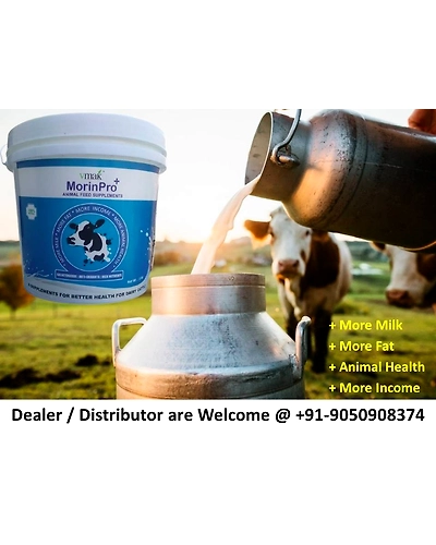 MorinPro+ Animal Feed Supplement-2