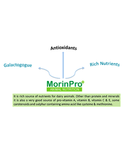 MorinPro+ Animal Feed Supplement-3