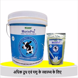 morinpro+ animal feed supplement
