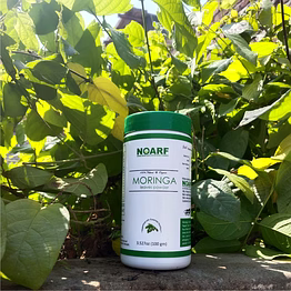 noarf moringa powder