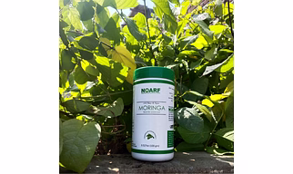 NOARF Moringa  Powder