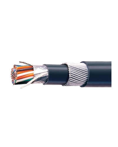 Polycab 2.5 Sqmm, 1 Pair Mylar Tape Overall Shielded Unarmoured Instrumentation Cable (1 Meter)