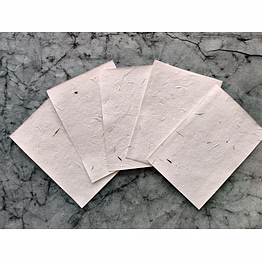 handmade seed paper | plantable seed paper