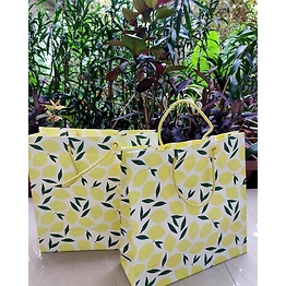 Handmade Paper Bags