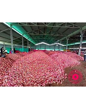 ONION