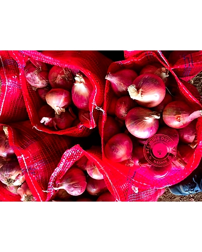 ONION-3
