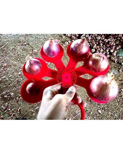ONION-2