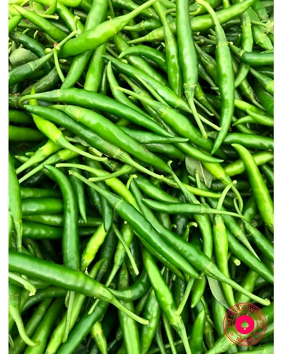 GREEN CHILLI-1