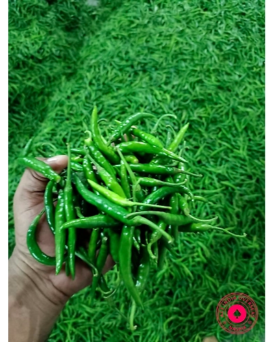 GREEN CHILLI-2