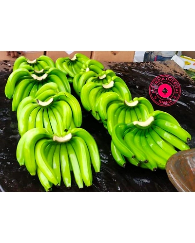 BANANA-1