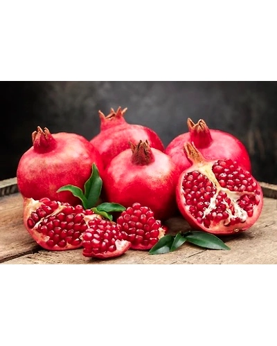 Pomegranate-11435880