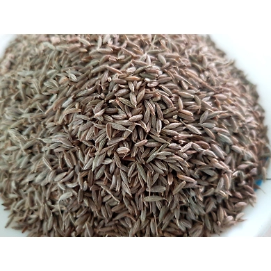 Cumin Seeds-1
