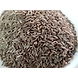 Cumin Seeds-1-sm