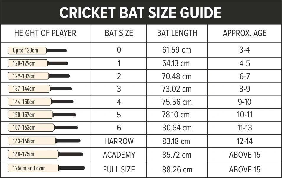 Cricket Tennis Bat DSC Wildfire Heat-MEN-5