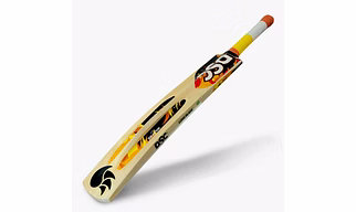 Cricket Tennis Bat DSC Wildfire Heat
