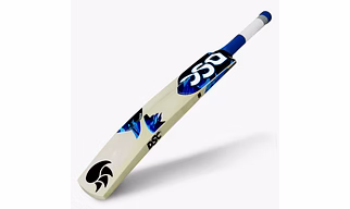 Cricket Tennis Bat DSC Wildfire Flare
