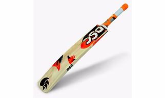 Cricket Tennis Bat DSC Wildfire Blaze