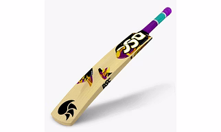 Cricket Tennis Bat DSC Wildfire Ignite
