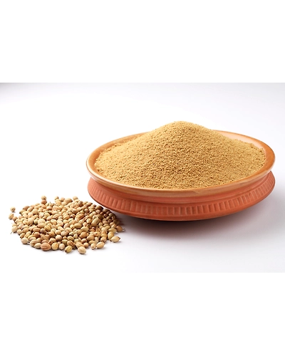 Organic Coriander-11445254
