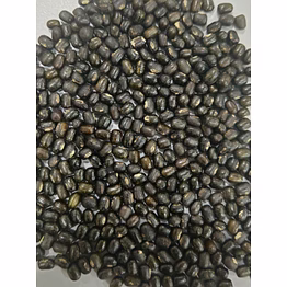 urad whole (polished) medium