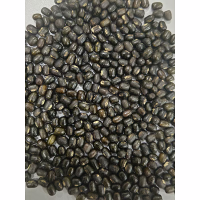 urad whole (polished) medium