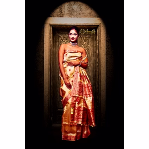 Muga silk saree/ Fabric