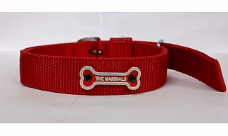 The Mammals Dog Collar Nylon 11/4