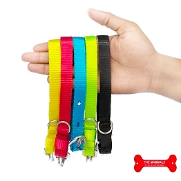 The Mammals Puppy Collar Nylon 1/2