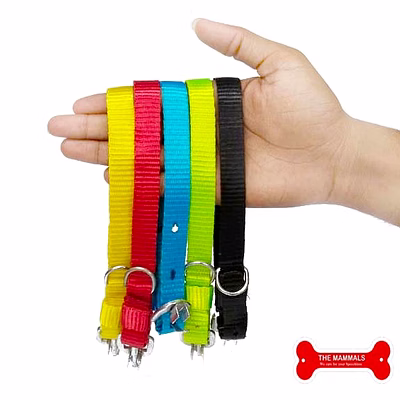 the mammals puppy collar nylon 1/2