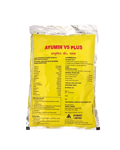 AYUMIN V5 PLUS-1