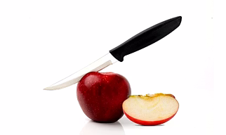 FRUIT KNIFE