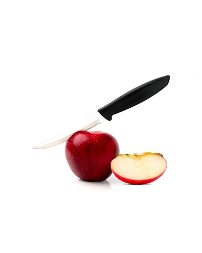 FRUIT KNIFE-12624678