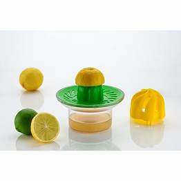 handy juicer 2 in 1