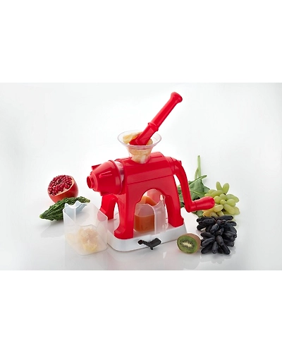 FRUIT JUICER JUMBO-12624736