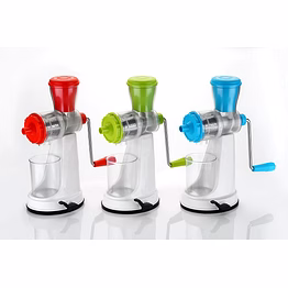 fruit juicer ss strainer