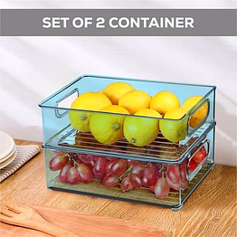set of 2 container